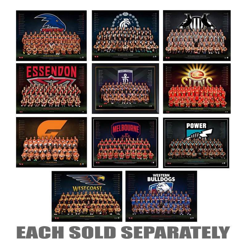 Affiche de l'quipe AFL 2017