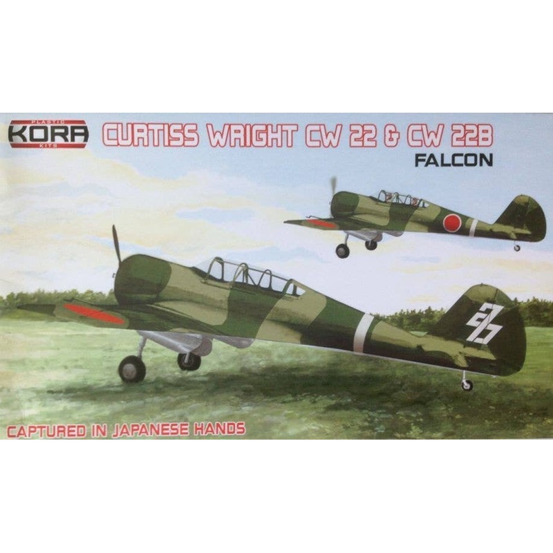 1/72 CW-22 & CW-22B Falcon Japan