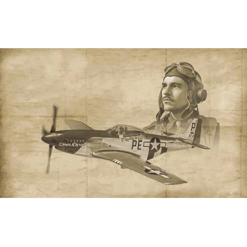1/72 WWII U.S. Army P-51D Mustang Ace