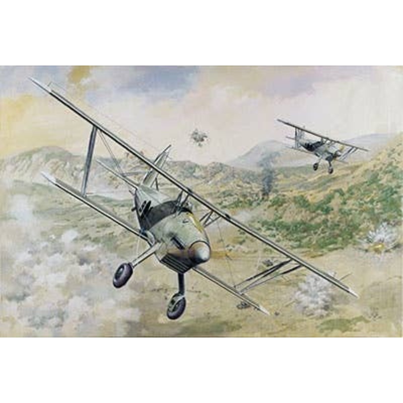 1/48 Arado Ar 68E