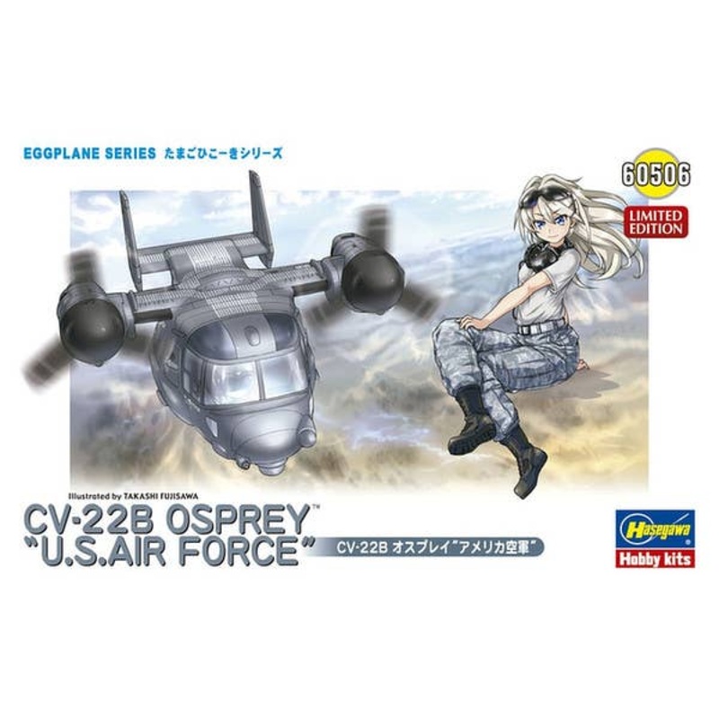 Egg Plane CV-22B Osprey US Air Force