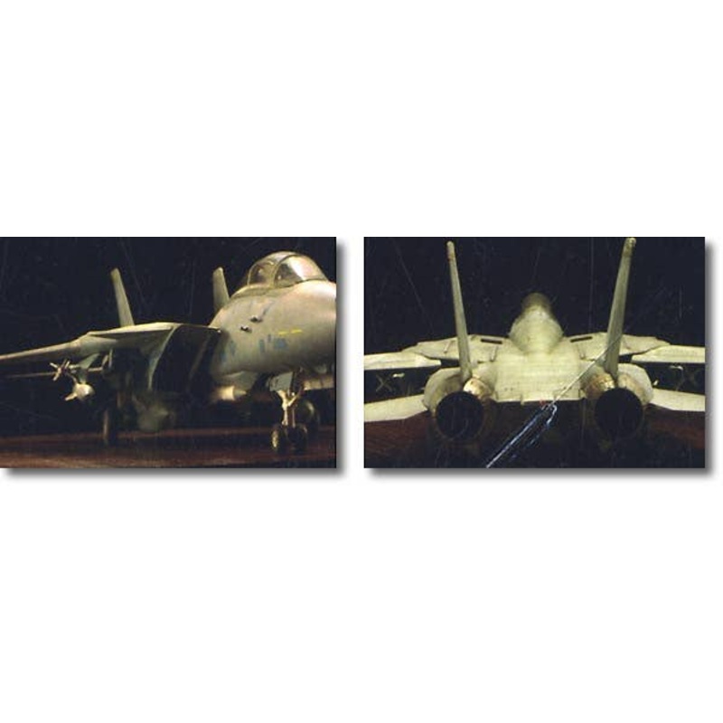 1/72 F-14 Tomcat