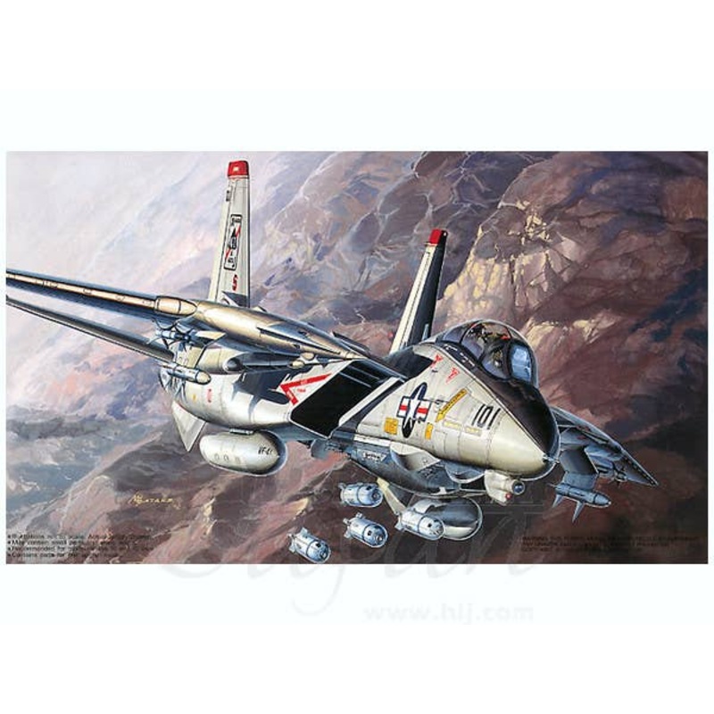 1/72 Grumman F-14A "Bombcat"