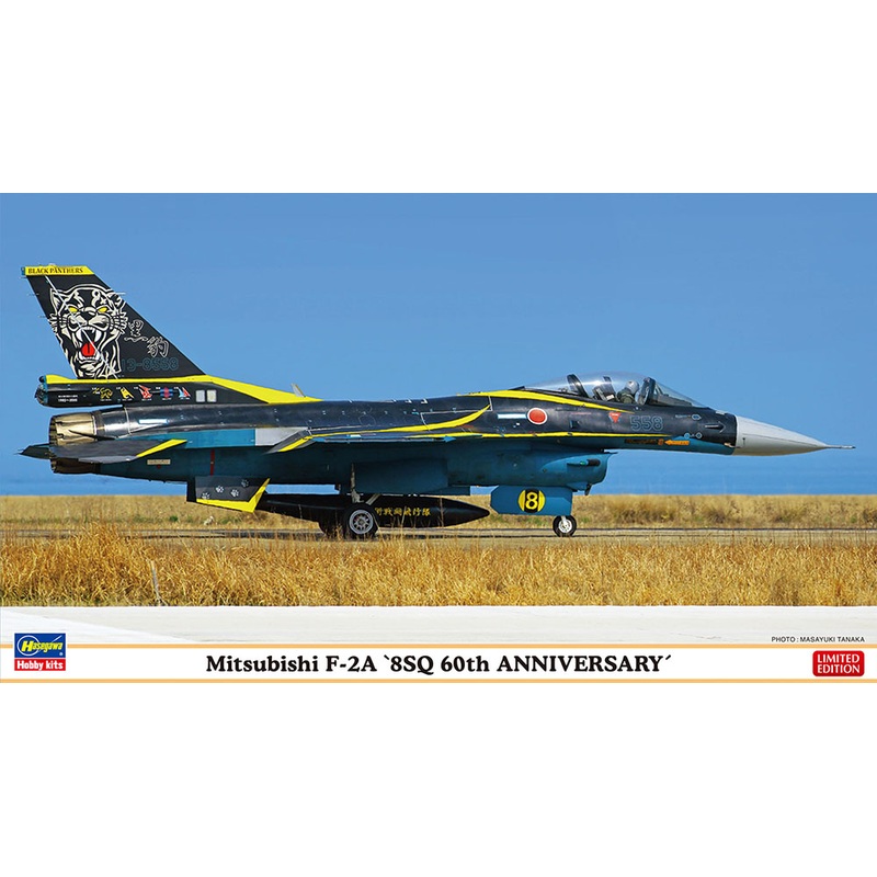1/72 Mitsubishi F-2A 8Sq 60th Anniversary Painting Machine