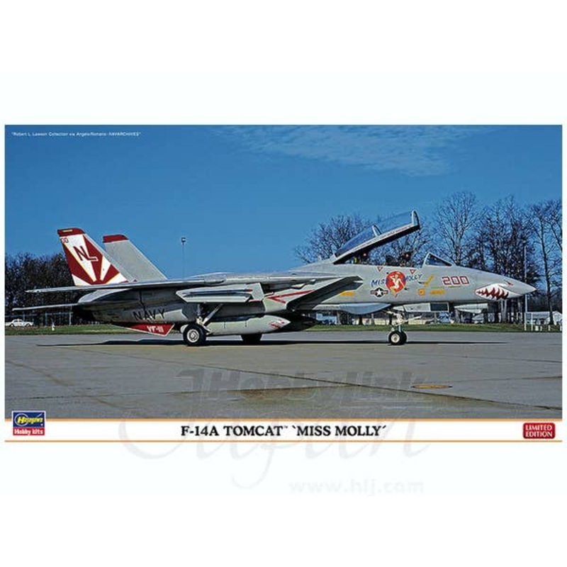 1/72 F-14A Tomcat Miss Molly