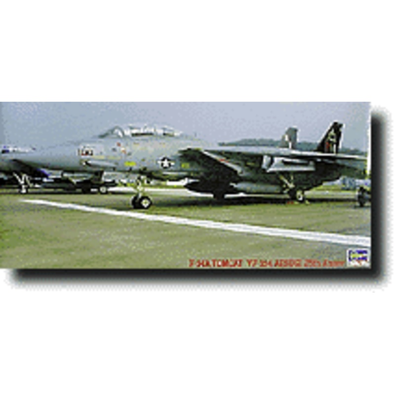1/48 F-14A Tomcat "VF-154 Atsugi 25th Anniversary"