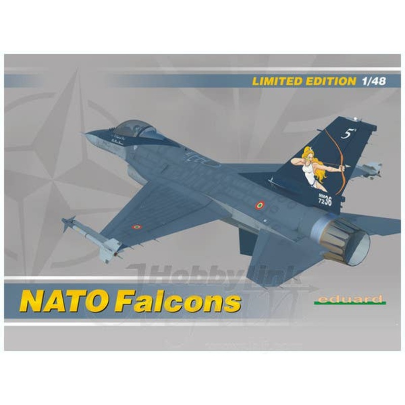 1/48 NATO Falcons F-16A Limited Edition
