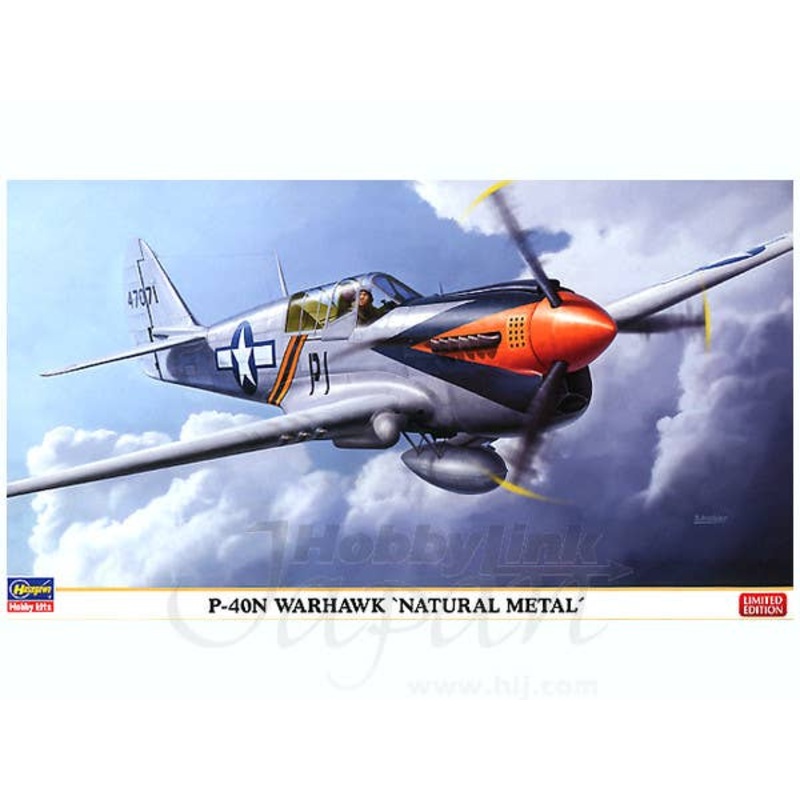 1/48 P-40N Warhawk Natural Metal