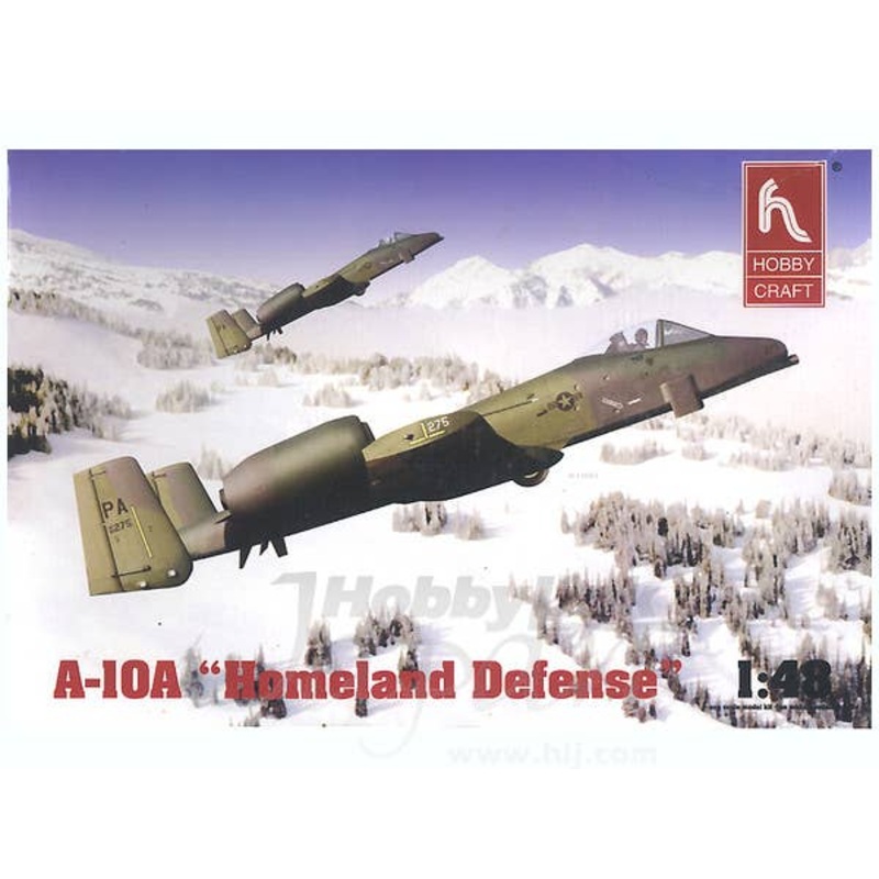 1/48 A-10A Homeland Defense