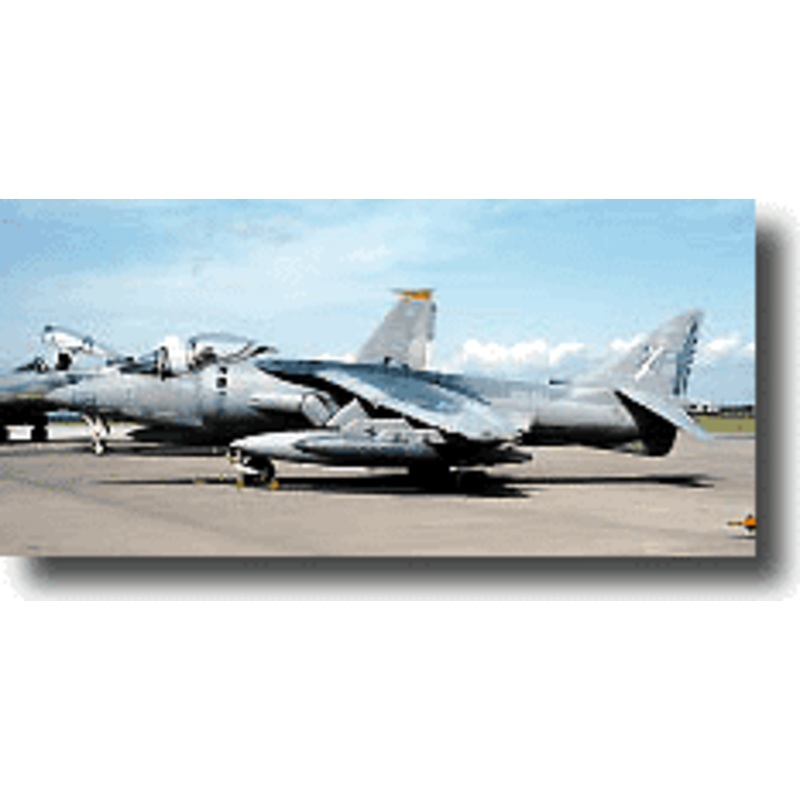 1/48 AV-8B Harrier II "VMA-223 Bulldogs"