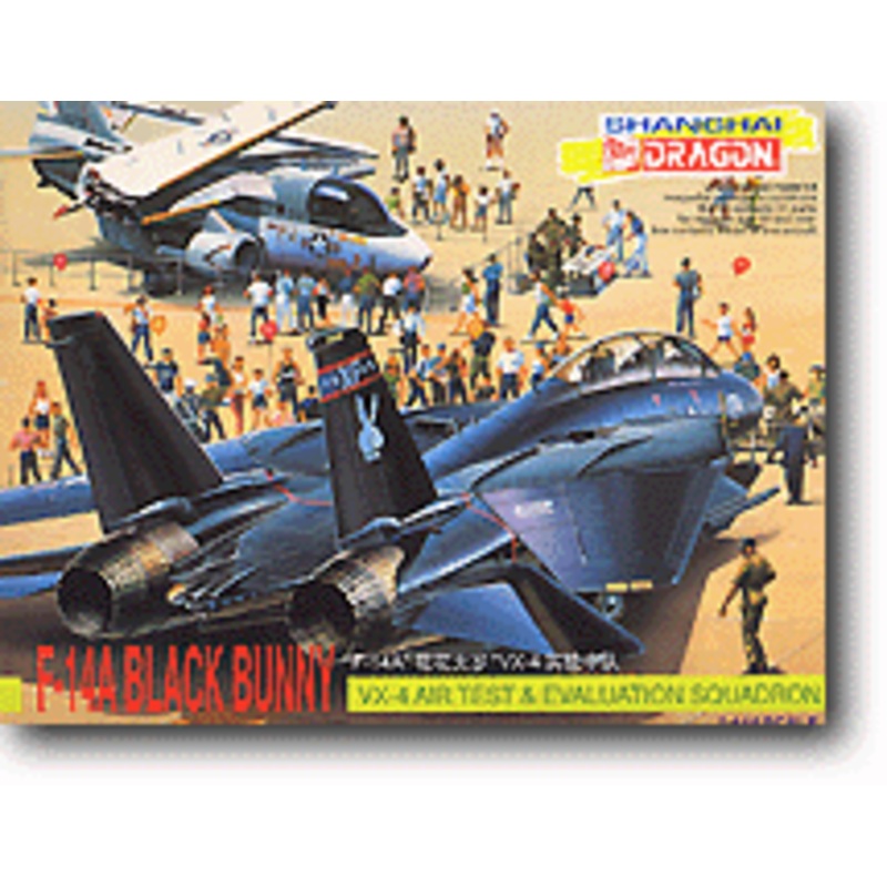 1/144 F-14A Black Bunny