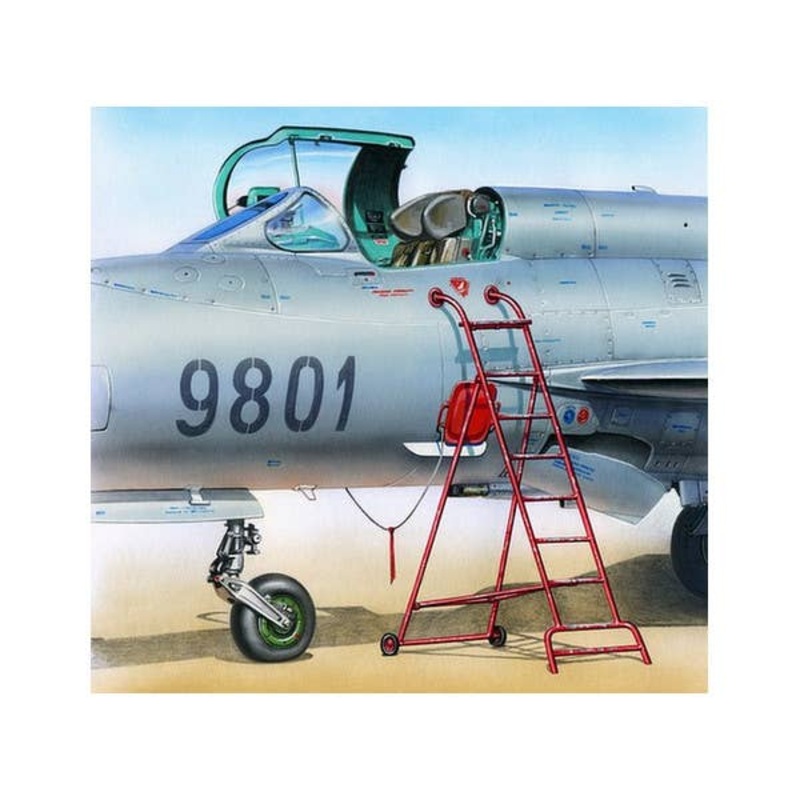 1/48 Ladder for MiG-21 (Plastic)