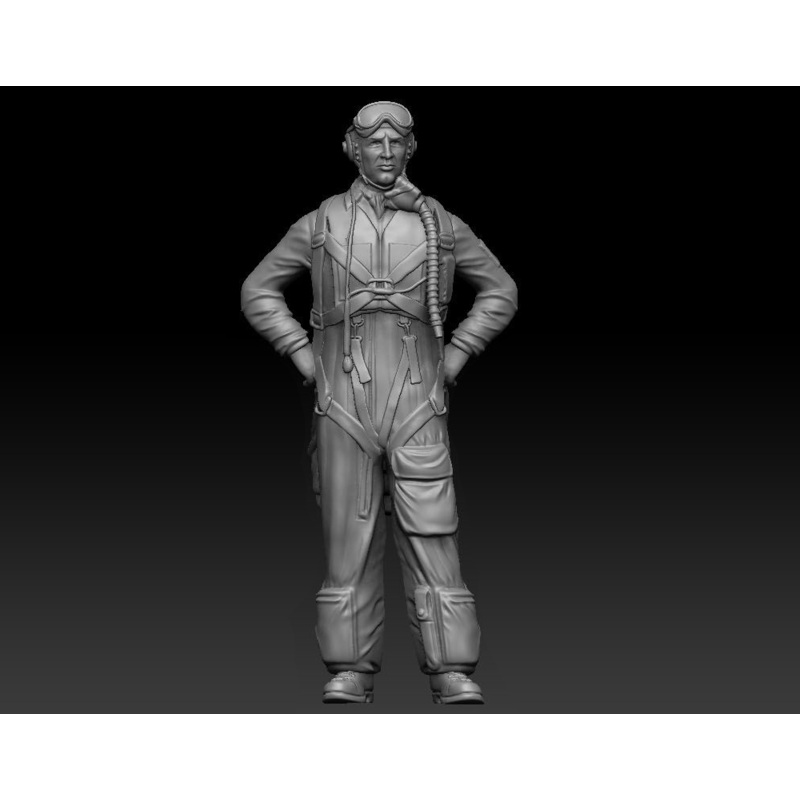 1/48 Swedish Airforce J21 Pilot