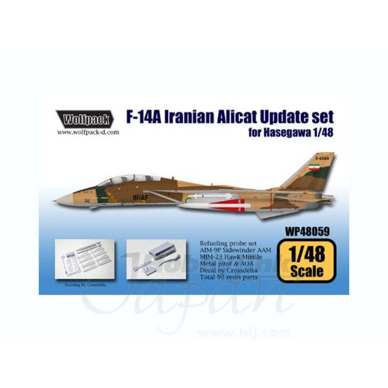 1/48 F-14A Iranian Alicat Update Set (Hasegawa)