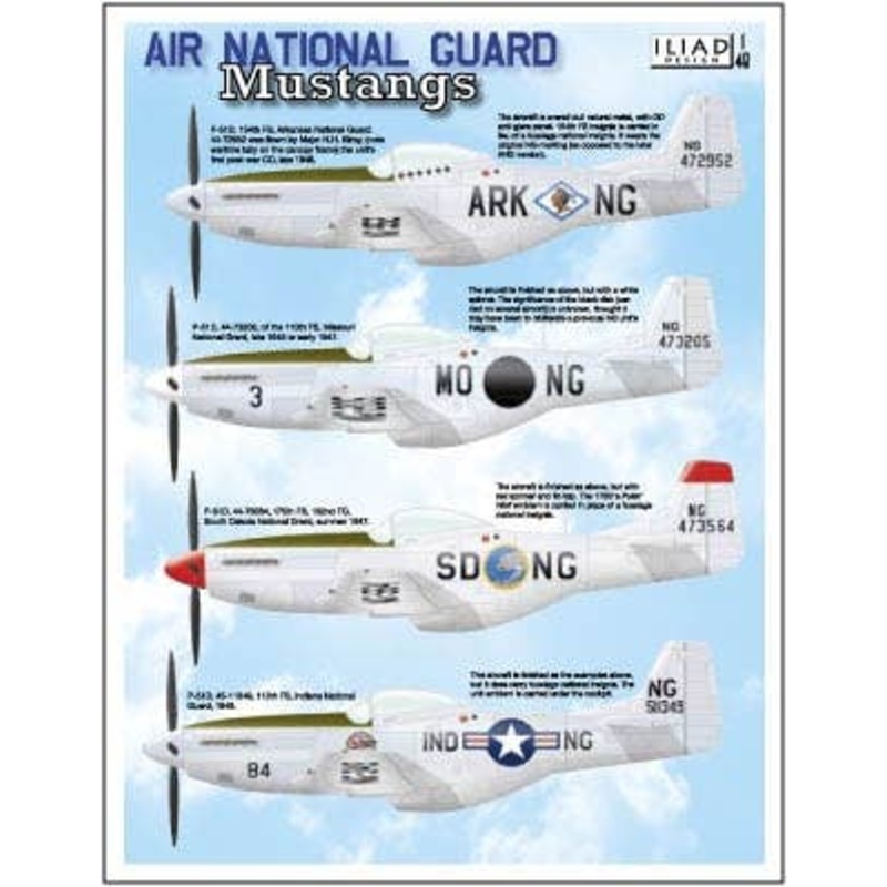 1/48 Air National Guard Mustangs