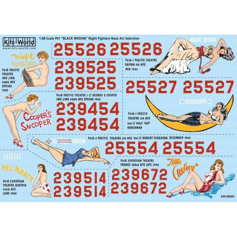 1/48 P61 Black Widow Night Fighter Decal Sheet