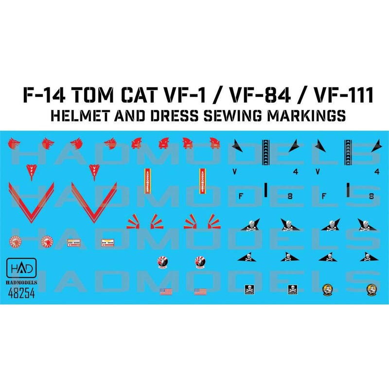 1/48 F-14 Helmets and Military Dress Sewing Decals for F-14