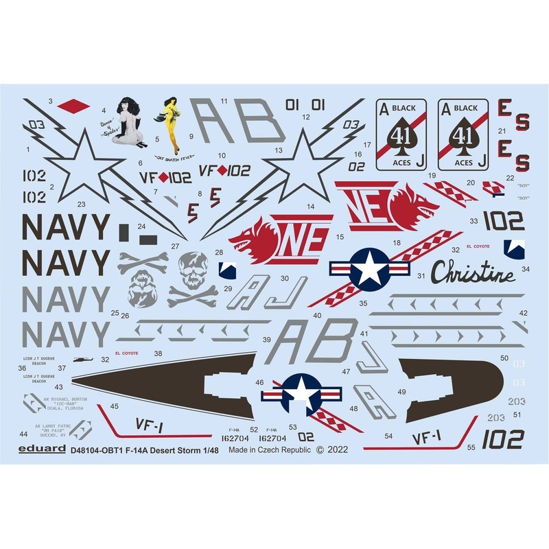 1/48 F-14A Desert Storm (for TAMIYA)