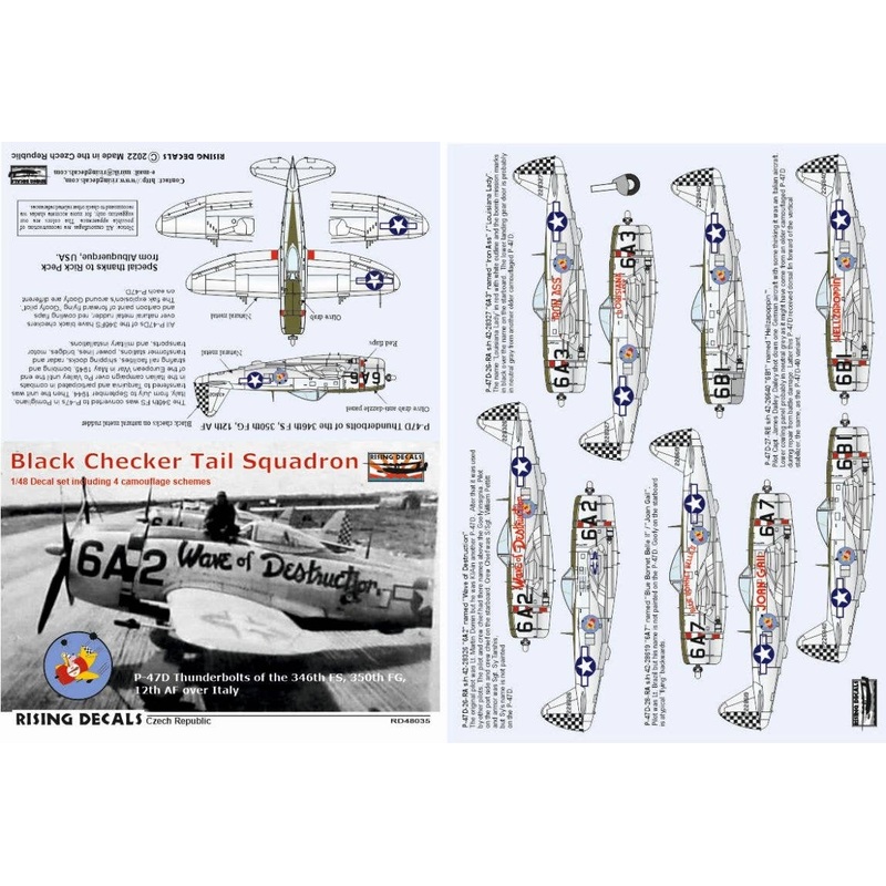 1/48 Black Checker Tail Squadron 346th FS over Italy