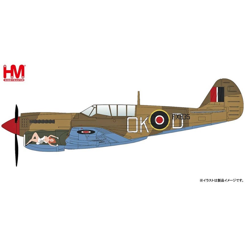 1/72 P-40N Kittyhawk FX-835 No Orchids, 450 Sqn., RAAF, Vasto, Italy, Early 1944