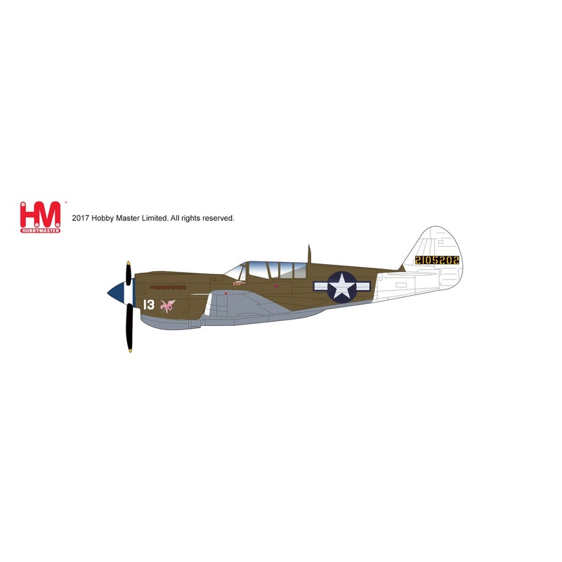 1/72 Carchs P-40N "Rita/Orchid 13"
