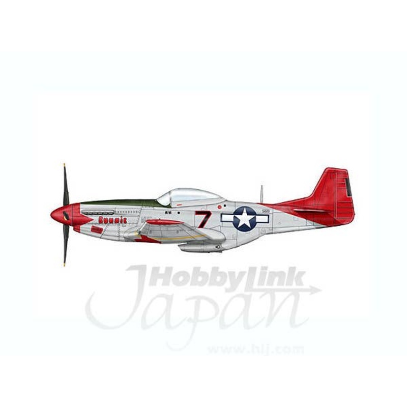 1/48 P-51D Mustang Bunny