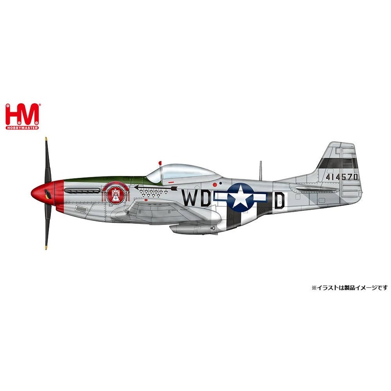1/48 P-51D Mustang Captain Ted Lines