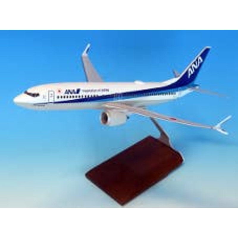 1/100 BOEING 737MAX8