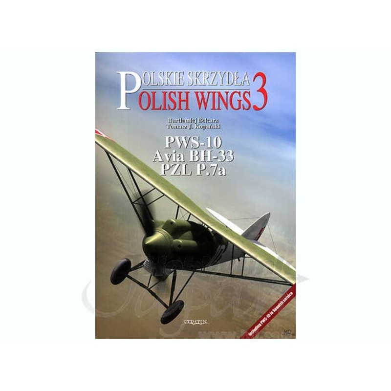 Polish Wings No. 3