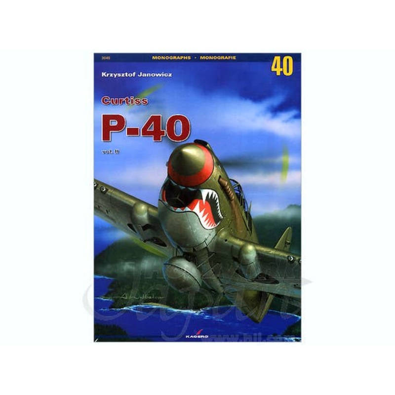 Curtiss P-40 Vol.2
