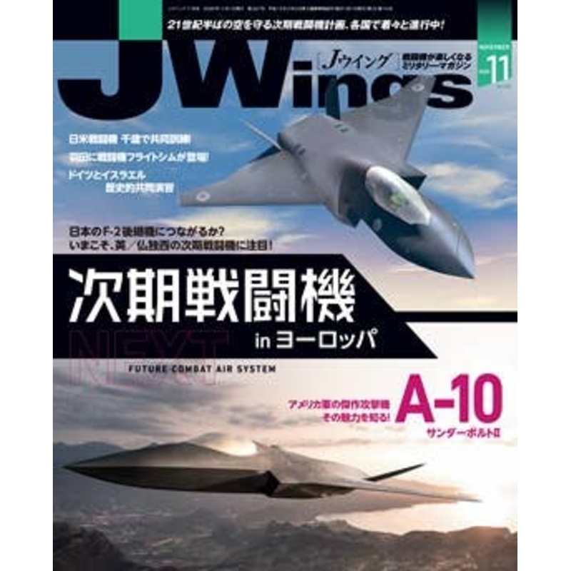 J Wings 2020/11