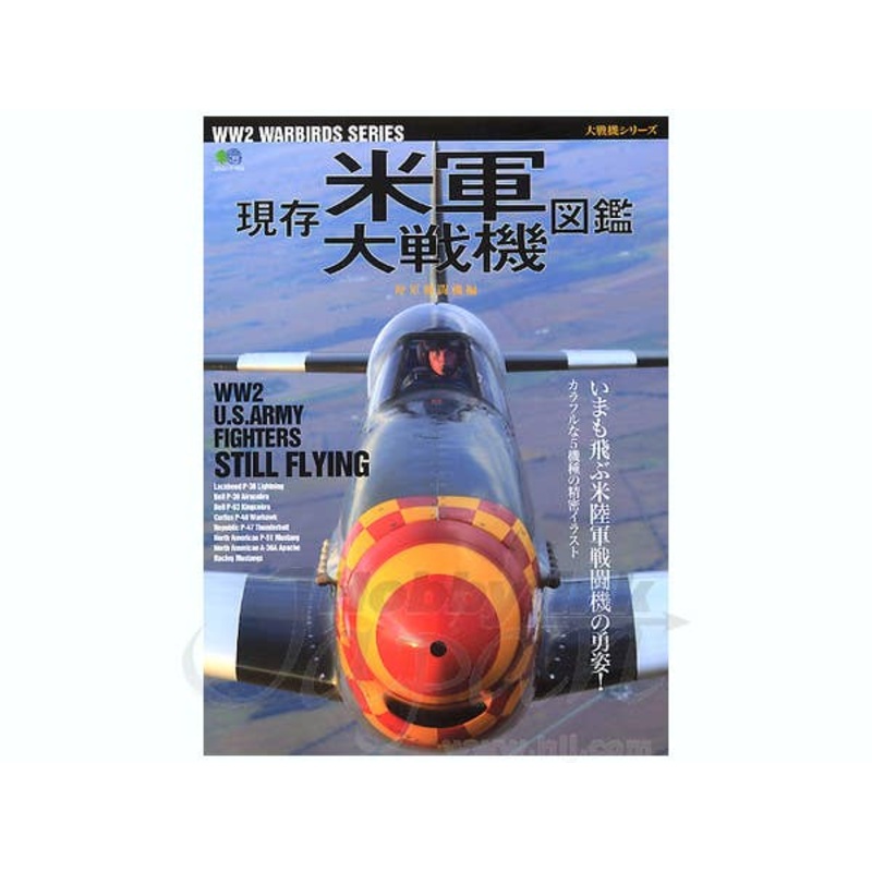 US Existence WWII Airplane