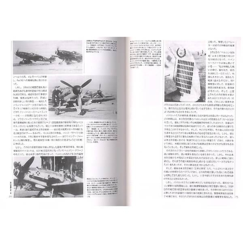 Bf109 Defense of the Reich Aces