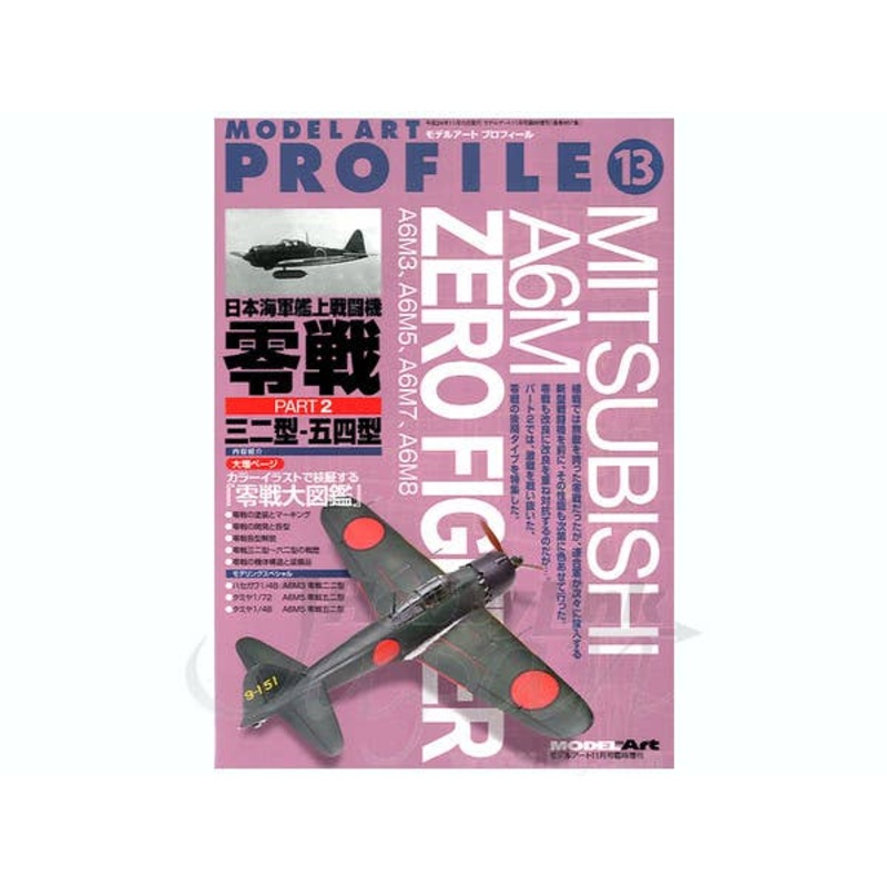 Model Art Profile #13