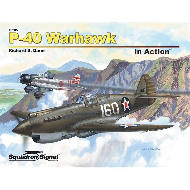 P-40 Warhawk in Action