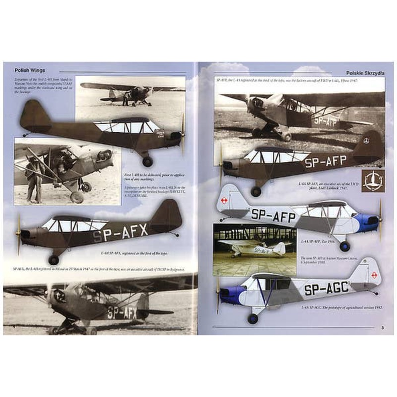 Polish Wings 5: Ex USAAF Aircraft 1945