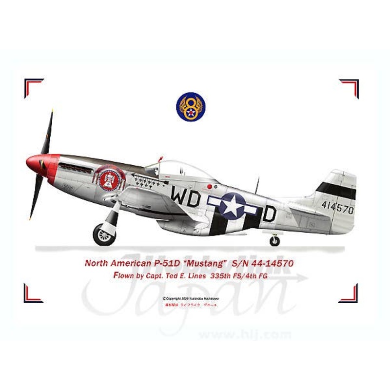 North American P-51D Mustang 44-14570 T-bird